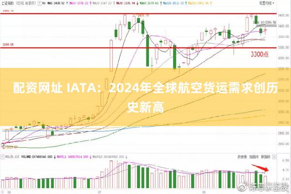 配资网址 IATA：2024年全球航空货运需求创历史新高