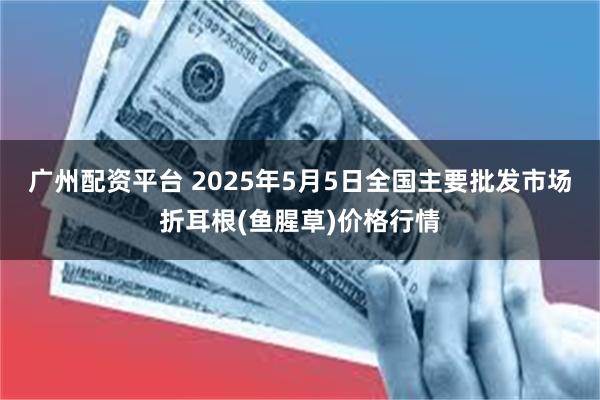 广州配资平台 2025年5月5日全国主要批发市场折耳根(鱼腥草)价格行情