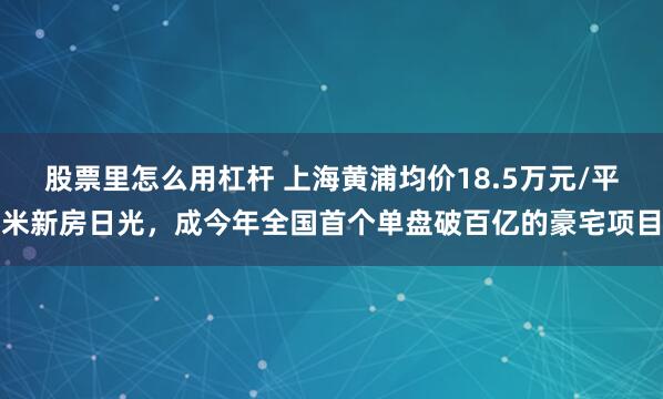 股票里怎么用杠杆 上海黄浦均价18.5万元/平米新房日光，成今年全国首个单盘破百亿的豪宅项目