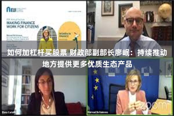 如何加杠杆买股票 财政部副部长廖岷：持续推动地方提供更多优质生态产品