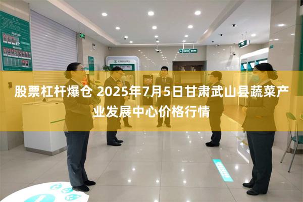 股票杠杆爆仓 2025年7月5日甘肃武山县蔬菜产业发展中心价格行情