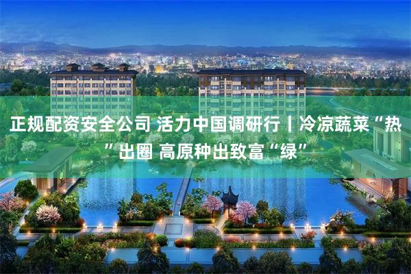 正规配资安全公司 活力中国调研行丨冷凉蔬菜“热”出圈 高原种出致富“绿”
