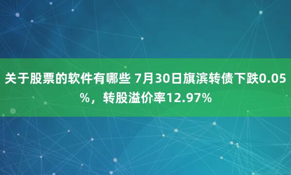 关于股票的软件有哪些 7月30日旗滨转债下跌0.05%，转股溢价率12.97%