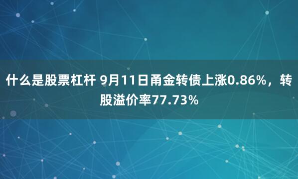 什么是股票杠杆 9月11日甬金转债上涨0.86%，转股溢价率77.73%